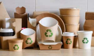 Penerapan Sustainable Packaging Ramah Lingkungan pada Produk Lokal