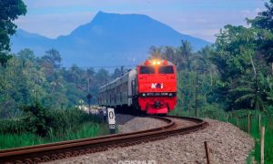 Dari Balik Jendela Kereta, Pelanggan KAI Menggapai Kawasan Hijau yang Eksotik