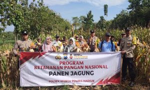 Wujudkan Swasembada Pangan, Polres Madiun Bersama Masyarakat Panen Raya Jagung
