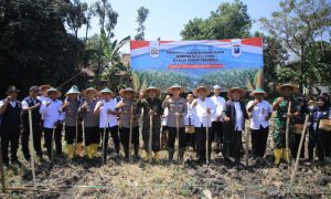 Polres Madiun dan Ponpes Al Syafi’i Bersinergi Tanam Jagung untuk Swasembada Pangan