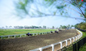 Indonesia’s Horse Racing-Merdeka Cup 2025: Laga Pacuan Kuda Berlatar Panorama Laut Pangandaran