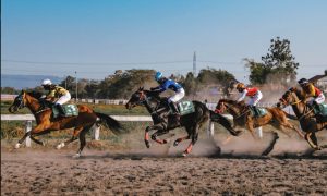 Indonesia Horse Racing, Kompetisi Adu Cepat dan Warna Baru Menikmati Sport Tourism Indonesia